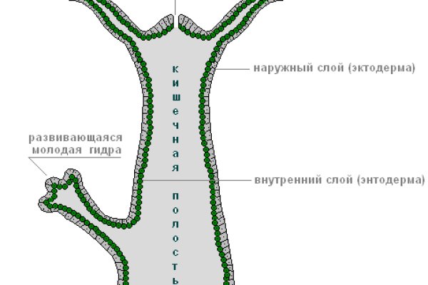 Кракен зеркало тор