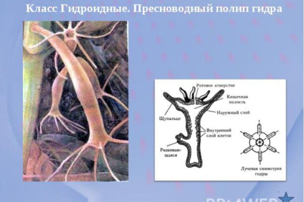 Маркет кракен маркетплейс