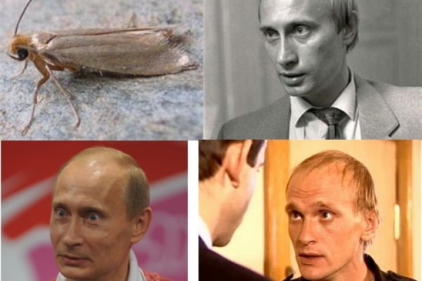 Площадки в даркнете